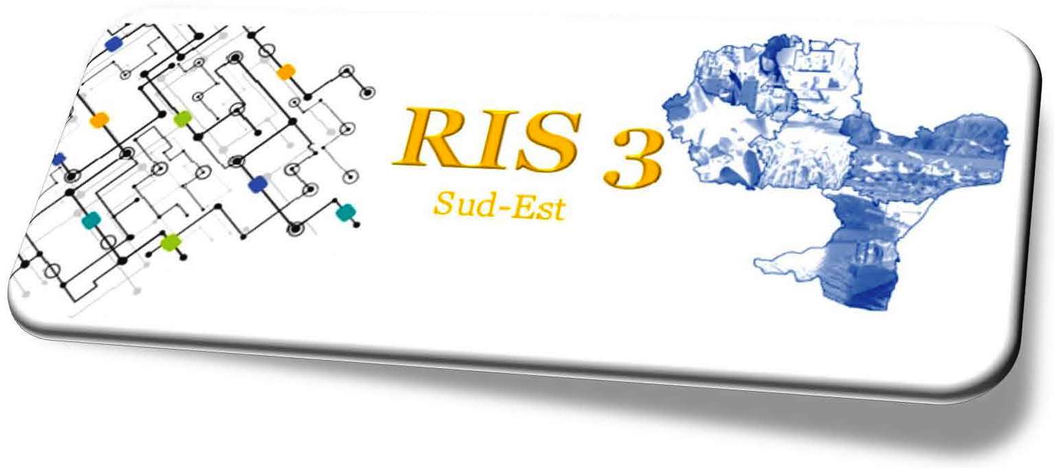 RIS3