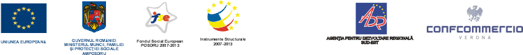 BannerFSE