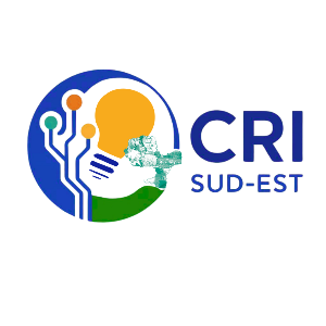 Logo CRISE